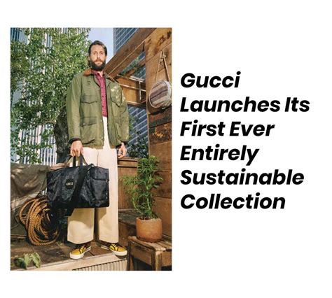 gucci ethical policy|is gucci a sustainable brand.